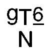 Nasal engraving for LTN NEURO SELECT 9X-TW 1.60 (TOKAI)
