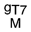 Nasal engraving for NEURO SELECT 9X-TW 1.70 (TOKAI)