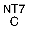 Nasal engraving for NEURO SELECT 7X-DL 1.70 (TOKAI)
