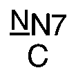 Nasal engraving for NEURO SELECT 7X-DL 1.70 (TOKAI)