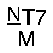 Nasal engraving for NEURO SELECT 7X-DL 1.70 (TOKAI)