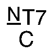 Nasal engraving for NEURO SELECT 7X-DL 1.70 (TOKAI)