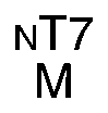 Nasal engraving for NEURO SELECT 7X-DL 1.70 (TOKAI)