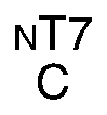 Nasal engraving for NEURO SELECT 7X-DL 1.70 (TOKAI)