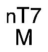Nasal engraving for NEURO SELECT 7X-TW 1.70 (TOKAI)