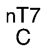Nasal engraving for NEURO SELECT 7X-TW 1.70 (TOKAI)