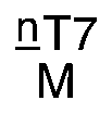Nasal engraving for NEURO SELECT 7X-TW 1.70 (TOKAI)
