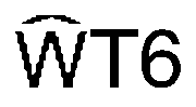 Nasal engraving for NWS 1.60 (TOKAI)