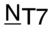 Nasal engraving for TR RESONAS 1.70 (TOKAI)