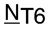 Nasal engraving for TR / TR-XA RESONAS 1.60 (TOKAI)